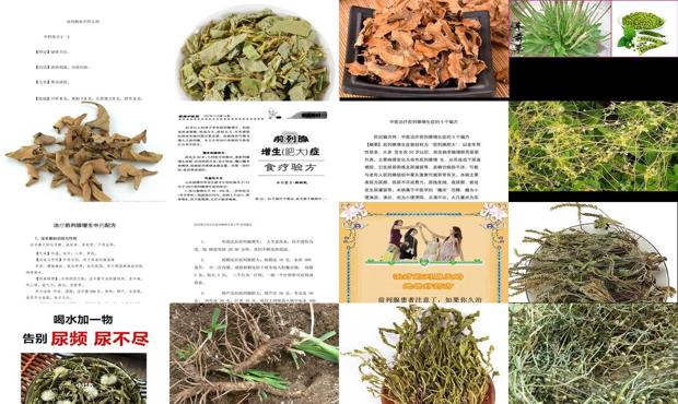 汕头民间草药偏方治前列腺