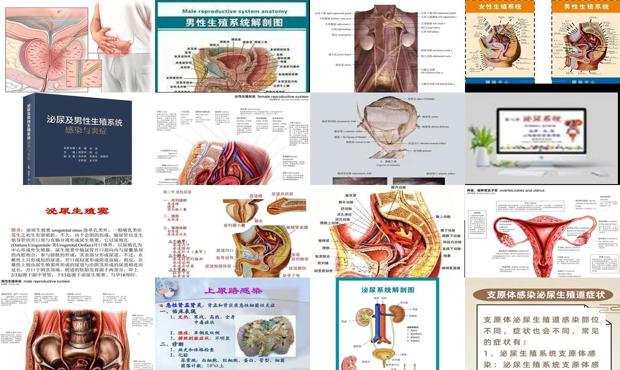 汕头泌尿生殖系统炎症症状